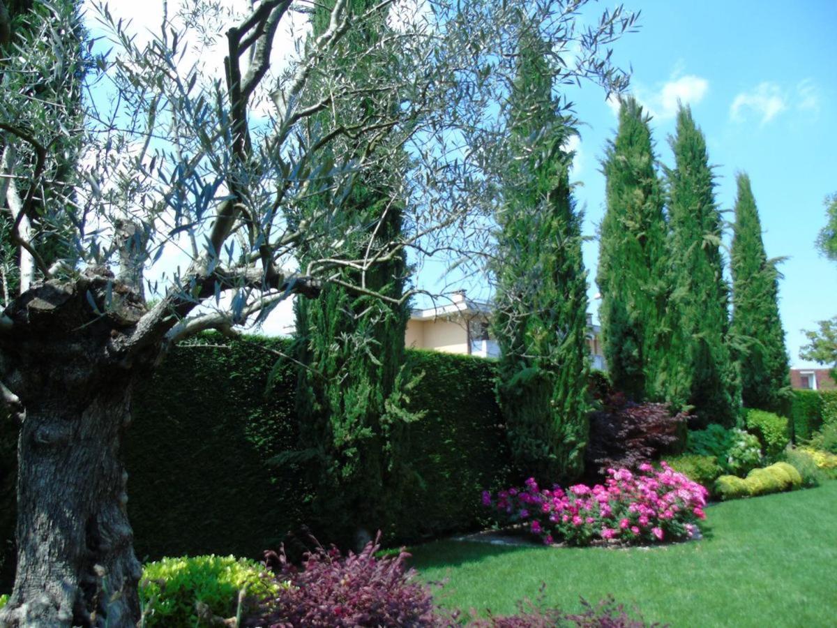 Ai Cipressi B&B Mestrino Exteriör bild